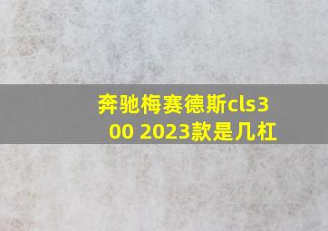 奔驰梅赛德斯cls300 2023款是几杠